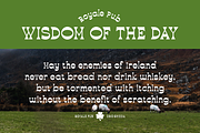 Drogheda | Funky Slab Serif Font, a Slab Serif Font by Twicolabs Fontdation (Thumbnail 7 of 9)