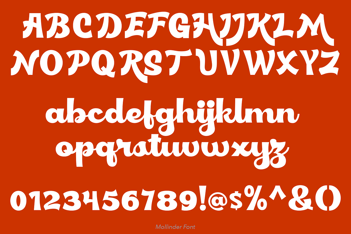 Mollinder Font, a Script Font by TypeClassHeroes (Photo 5 of 16)