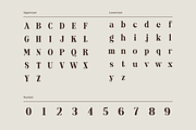 Laderhaus - Display Font, a Serif Font by Studio Moara (Thumbnail 4 of 11)