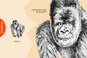 Dotwork Endangered Animals, an Animal Illustration by nordicworker (Thumbnail 4 of 5)
