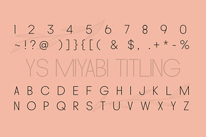 Miyabi Duo Font