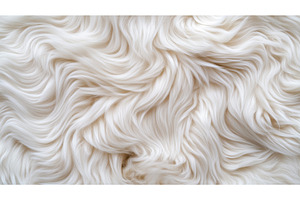 Close-up of white fluffy fur with, a Food & Drink Photo by Sergey Kotenev