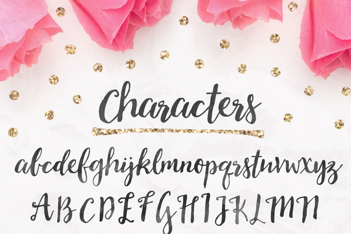 Soulmates Script Typeface + EXTRAS! preview 7