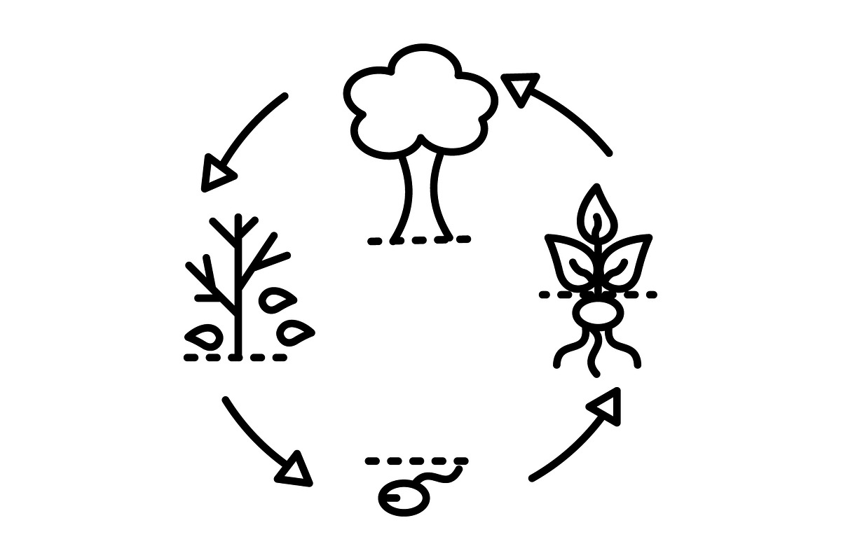 Life cycle black line icon, an Outline Icon by Web Incredible
