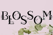 Blossom Font + EXTRAS, a Slab Serif Font by Chimerique (Thumbnail 2 of 14)