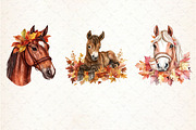 Autumn Brown Horse Clipart, an Illustration by Libby Wishes (Thumbnail 7 of 7)