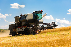 Aged agricultural combine harvesting golden wheat on a sunny day, a Transportation Photo by Ales Munt