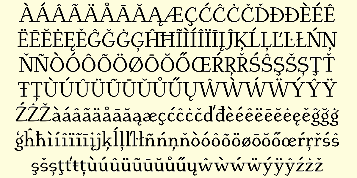 EuroikaKamp, a Serif Font by Ingrimayne Type (Photo 7 of 11)