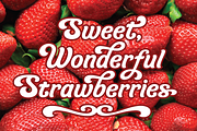 Organic Cotton, a friendly font, a Font by Dan Cotton (Thumbnail 5 of 7)