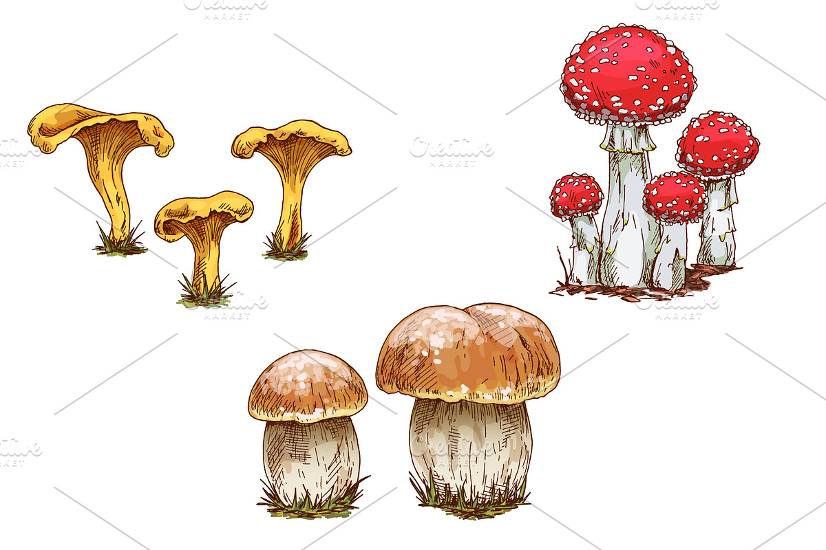 Autumn. New season Illustration Pack, an Object Graphic by Schumacher Shop (Photo 7 of 9)