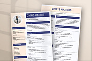 Professional Application CV Template, a Print Template by Snapybiz (Thumbnail 8 of 10)