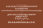 Zellique - Modern Serif Font, a Serif Font by Rishsketch (Thumbnail 13 of 15)