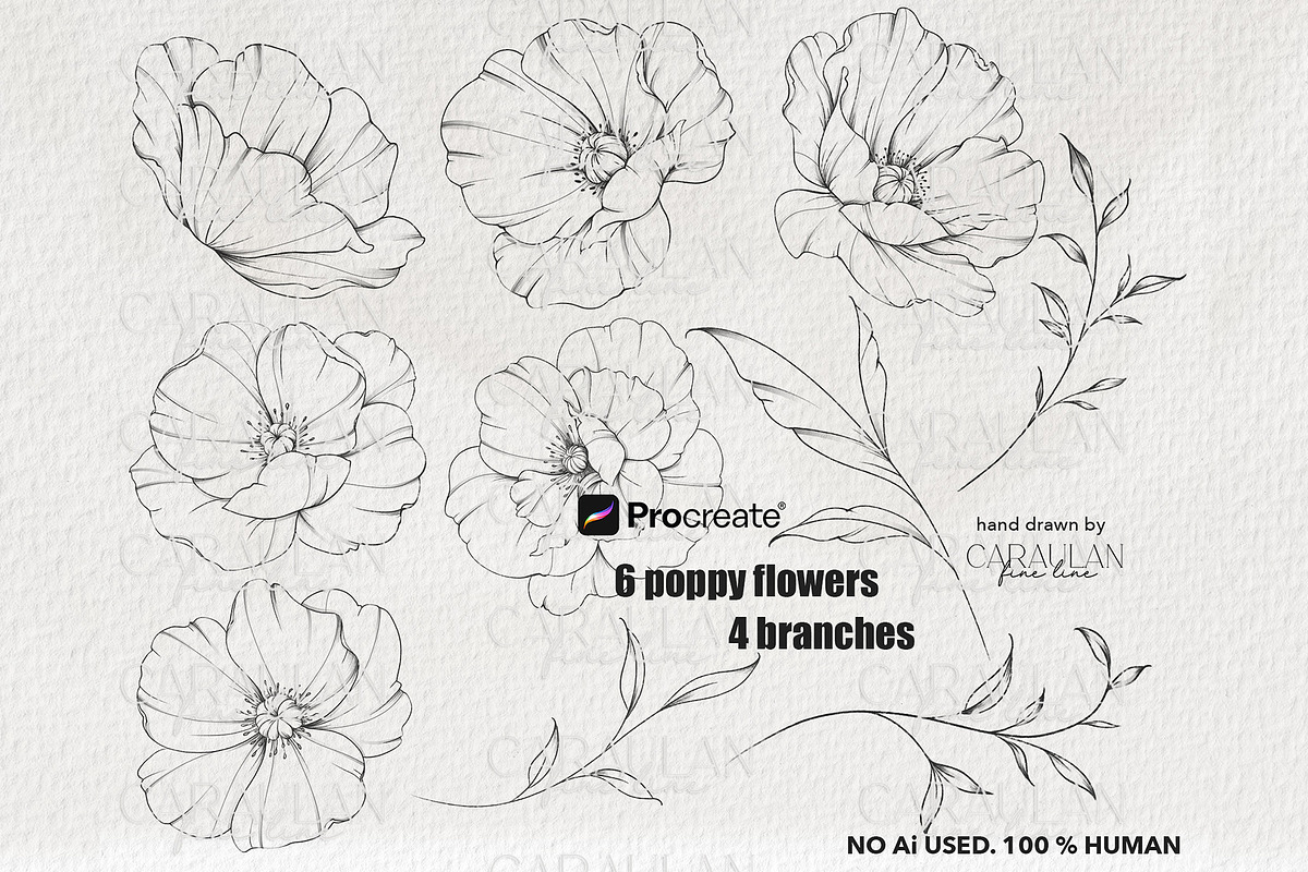 Poppy Fine Line Procreate Stamps, a Brush Add-On by CaraulanStore (Photo 2 of 8)