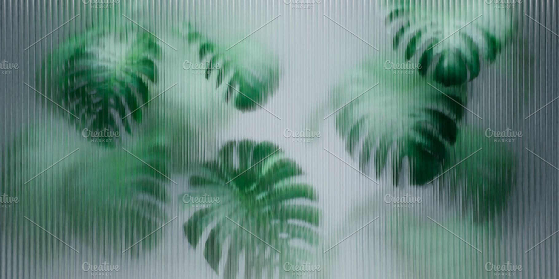 Monstera behind reeded glass panel, a Nature Photo by hitdelight