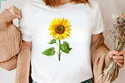 Watercolor Wildflower Clipart Bundle, an Illustration by CreationArt (Thumbnail 4 of 7)