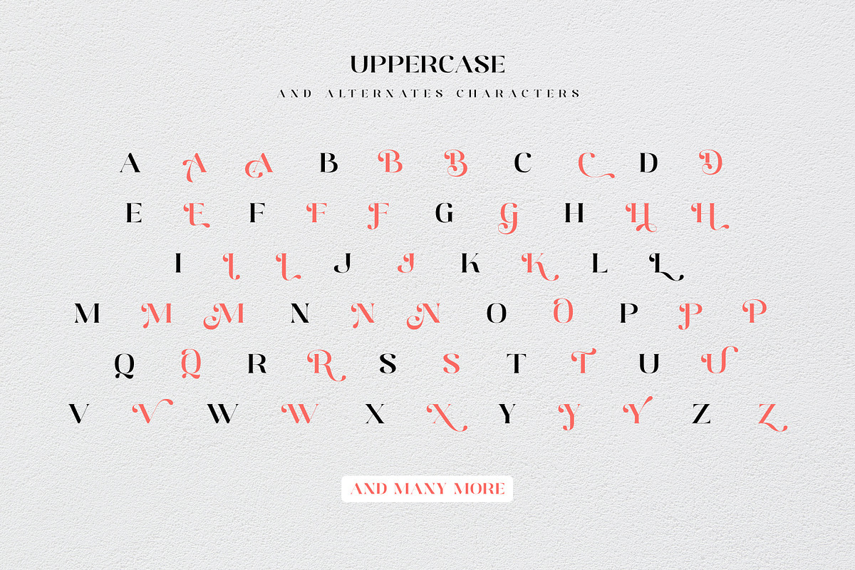 Distrela | Romantic Serif Font, a Serif Font by Ekahermawan (Photo 11 of 15)