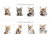 Cute Bengal Cat Clipart, Cute Cats, an Animal Illustration by BrushstrokeArtGB (Thumbnail 4 of 10)