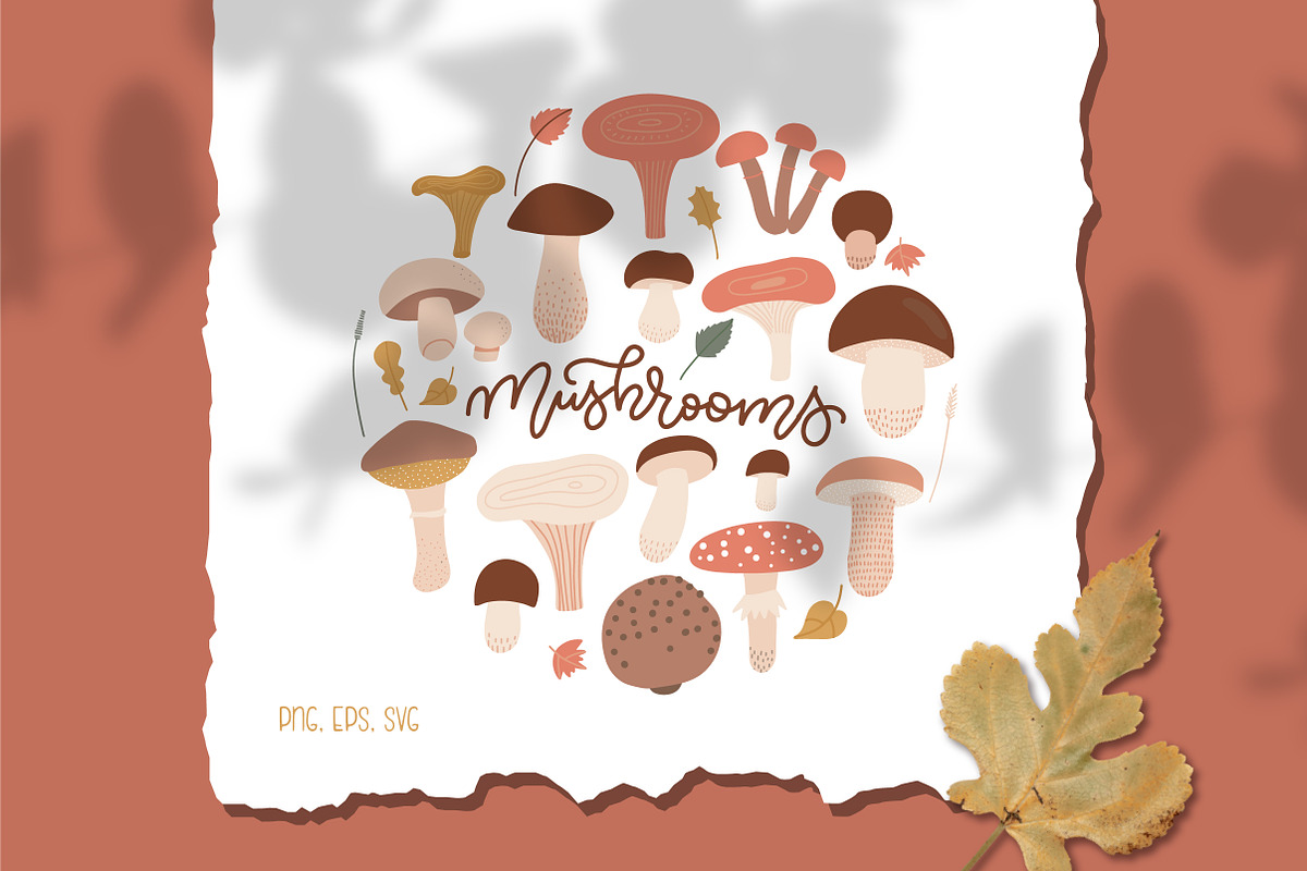 Cozy autumn: fall season graphic set, a Decorative Illustration by Lana Sham (Photo 4 of 14)