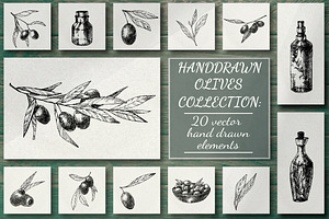 Olive Hand Drawn Collection