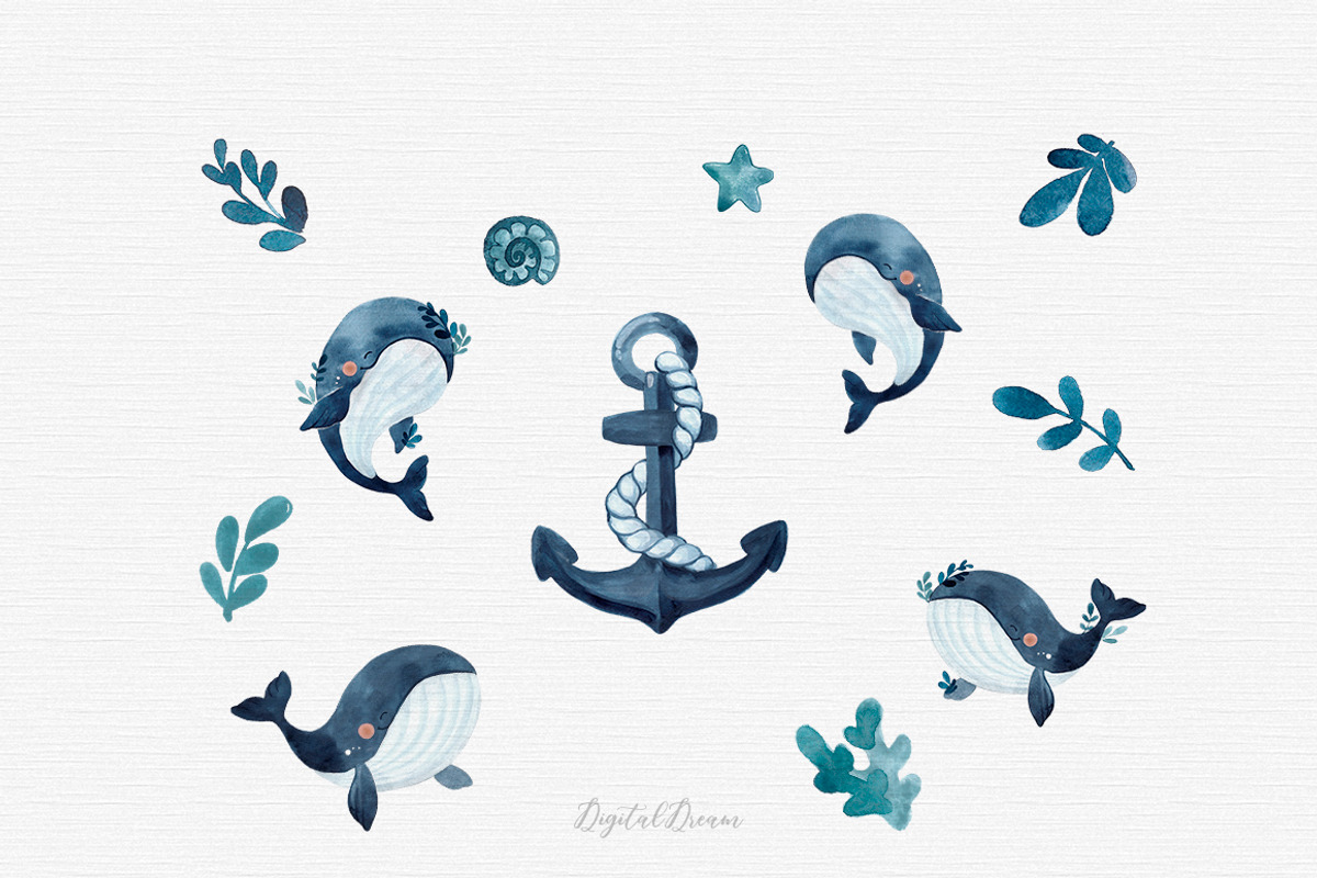 Whale watercolor clipart, an Illustration by DigitalDream (Photo 8 of 11)