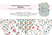 Winter Botanicals Clipart, an Illustration by Emerald & Ivy Studios (Thumbnail 8 of 9)