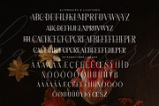 Hanchern Display Serif Font, a Serif Font by Storytype Studio (Thumbnail 14 of 15)