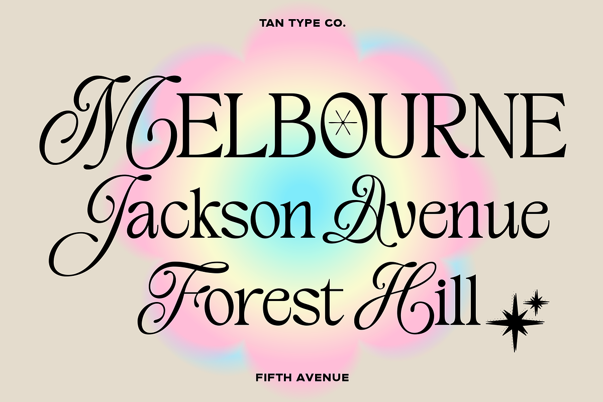 TAN - FIFTH AVENUE, a Serif Font by TanType (Photo 6 of 11)
