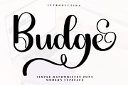 Budge, a Script Font by FreshTypeINK (Thumbnail 1 of 7)