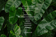 Tropical Collection Watercolor, a Decorative Illustration by Yakovleva Margarita (Thumbnail 2 of 20)