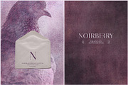 Noirberry · Textured Backgrounds, a Background Graphic by alonahaidash (Thumbnail 5 of 10)
