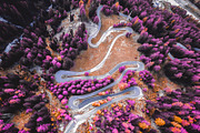 454 Infrared Fantasy Pro LUTs, a Preset Add-On by ShutterPro (Thumbnail 30 of 48)