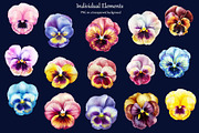 Watercolor Pansy Flowers Clipart, an Object Illustration by BarvArt (Thumbnail 3 of 4)