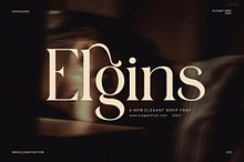 Elgins Modern Serif Font