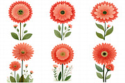 Gerbera Daisy Red & White Clipart, an Illustration by Daily.Designs (Thumbnail 3 of 5)