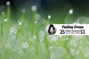 Feeling Green, a Templates & Theme by Feelings (Thumbnail 1 of 5)