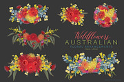 Wildflowers Australian Design Set, an Illustration by Sketchbook Designs (Thumbnail 2 of 11)