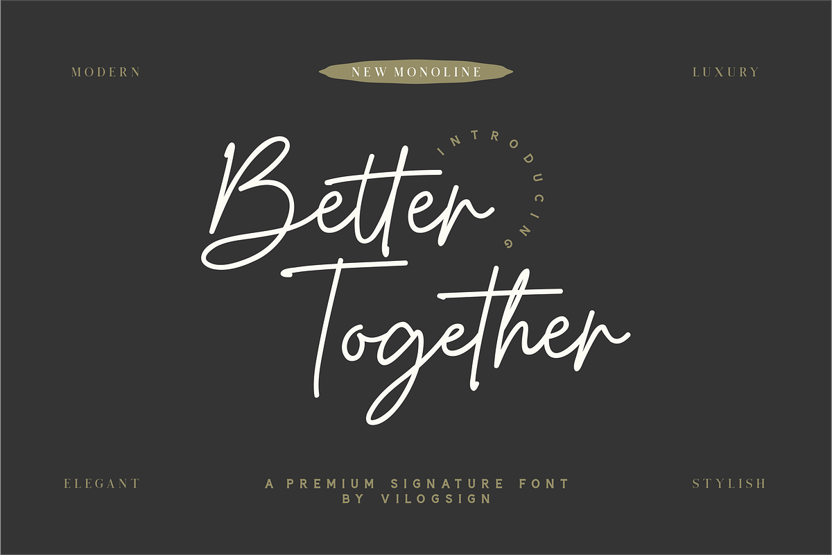 Better Together a Monoline Signature, a Script Font by Vilogsign (Photo 10 of 10)