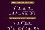 Corisa display font with swashes, a Script Font by BlackCatsMedia (Thumbnail 2 of 6)