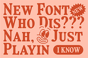Fiyona Retro Variable Font, a Serif Font by That That Creative (Thumbnail 16 of 24)