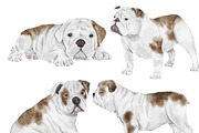 Watercolor Cat & Dog Illustration, an Animal Illustration by ArtbyHien (Thumbnail 2 of 7)