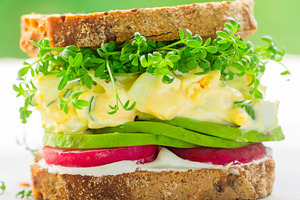 Delicious healthy sandwich