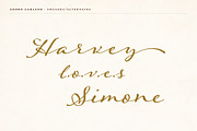 Adorn Collection, a Sans Serif Font by Laura Worthington (Thumbnail 17 of 62)