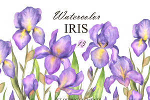 Watercolor Iris flower clipart, an Illustration by OlDm_Shop
