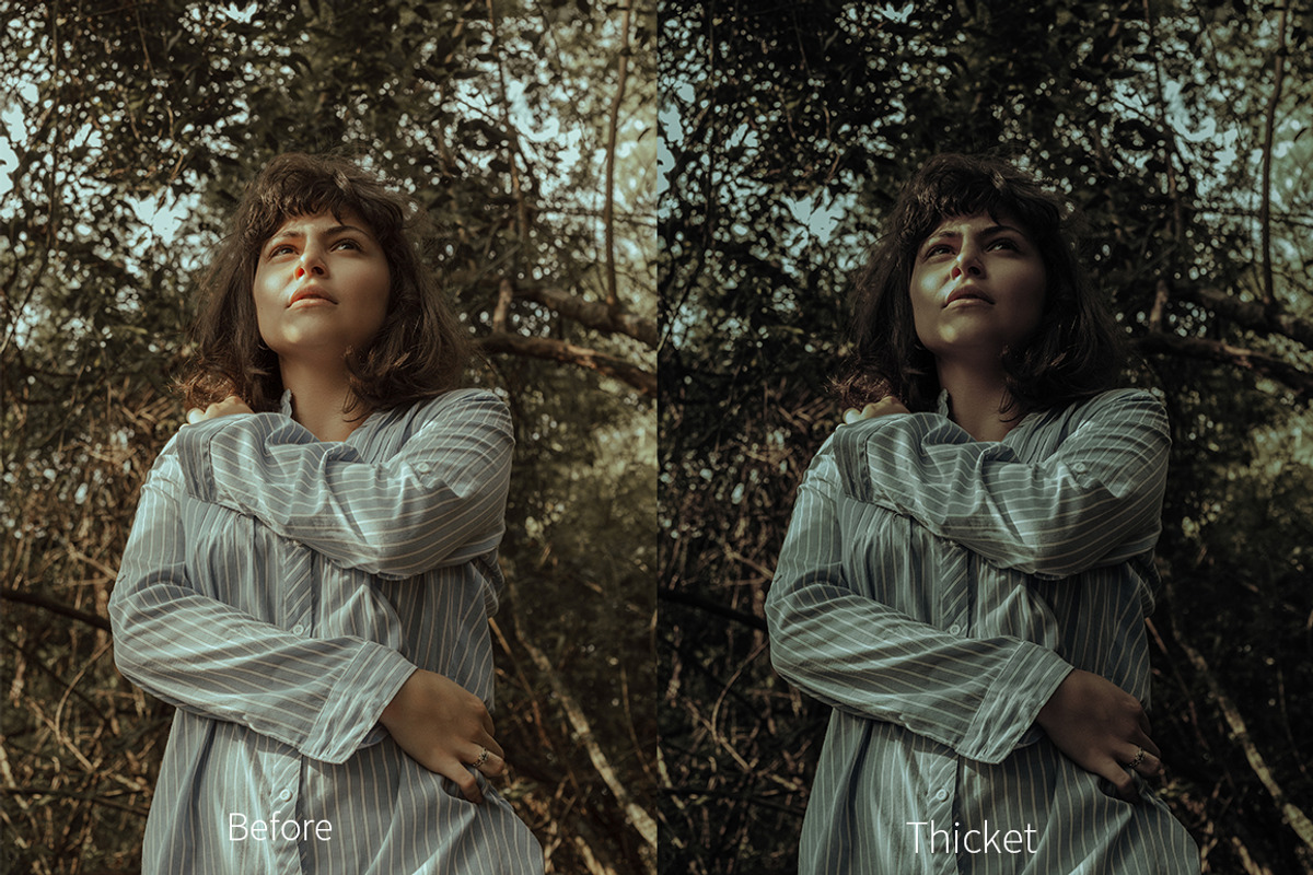 Moody Presets For Desktop+Mobile preview 6