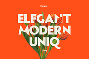 Harper Sans Serif Font, a Sans Serif Font by Ryan Rivaldo Vierra (Thumbnail 3 of 10)
