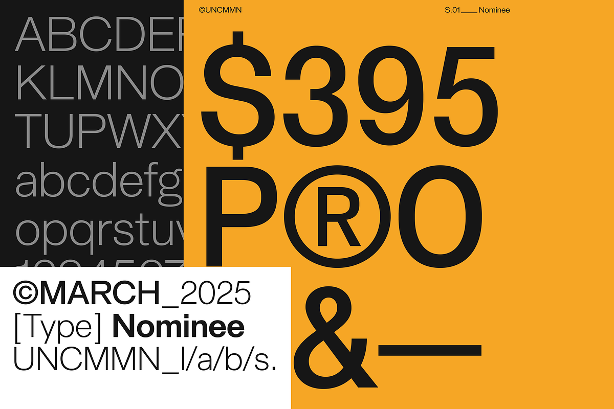Uncmmn Nominee Sans Serif 21 Style, a Font by Kotivoro (Photo 29 of 30)