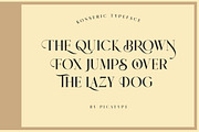 Konseric, a Serif Font by Picatype Studio (Thumbnail 10 of 18)
