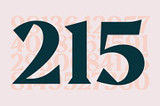 Aeda Rift, a Serif Font by ZP Fonts™ (Thumbnail 6 of 12)