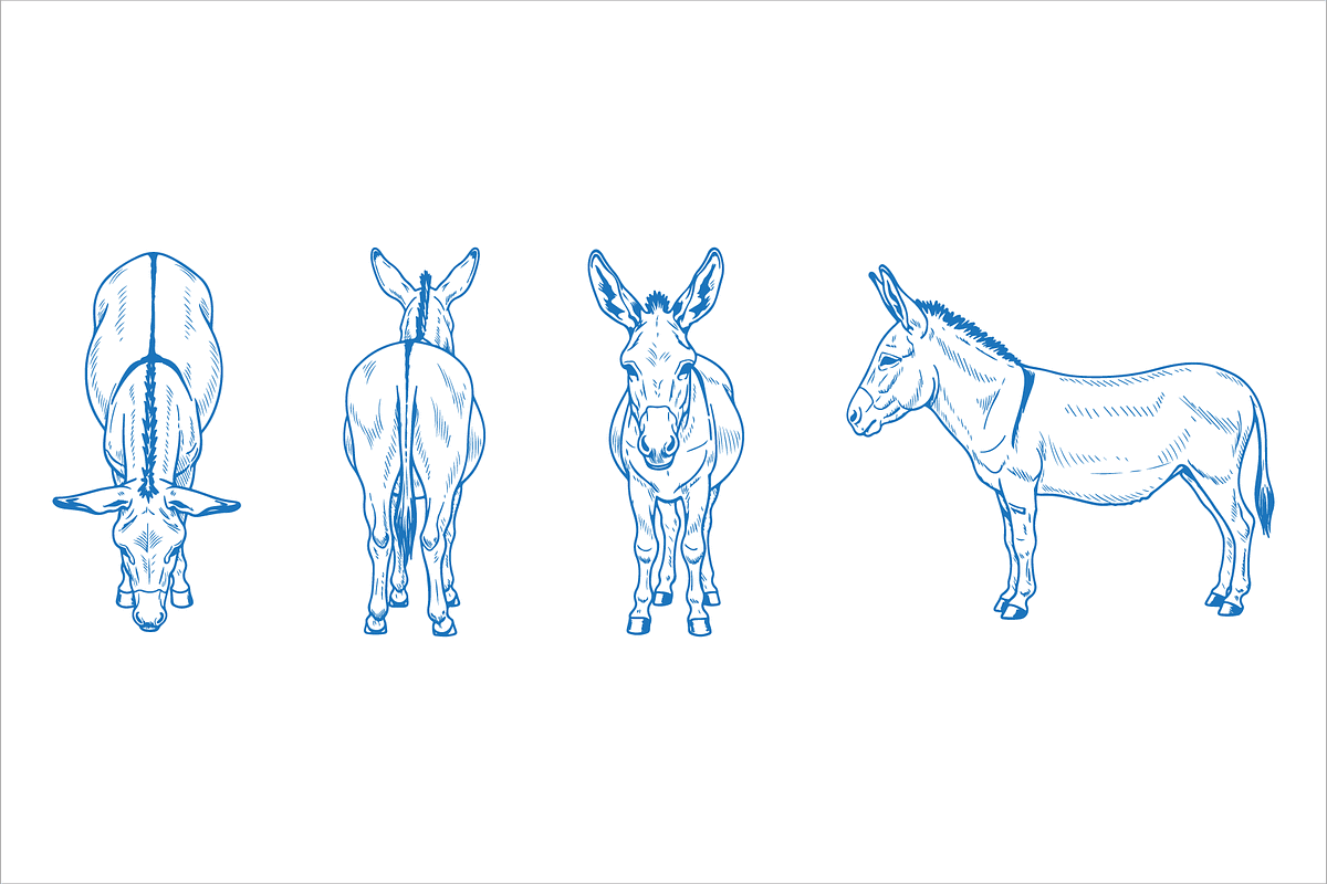Hand Drawn Donkey Vector, an Animal Illustration by MkStudio