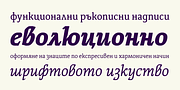 Thalweg, a Serif Font by Ani Dimitrova (Thumbnail 10 of 15)